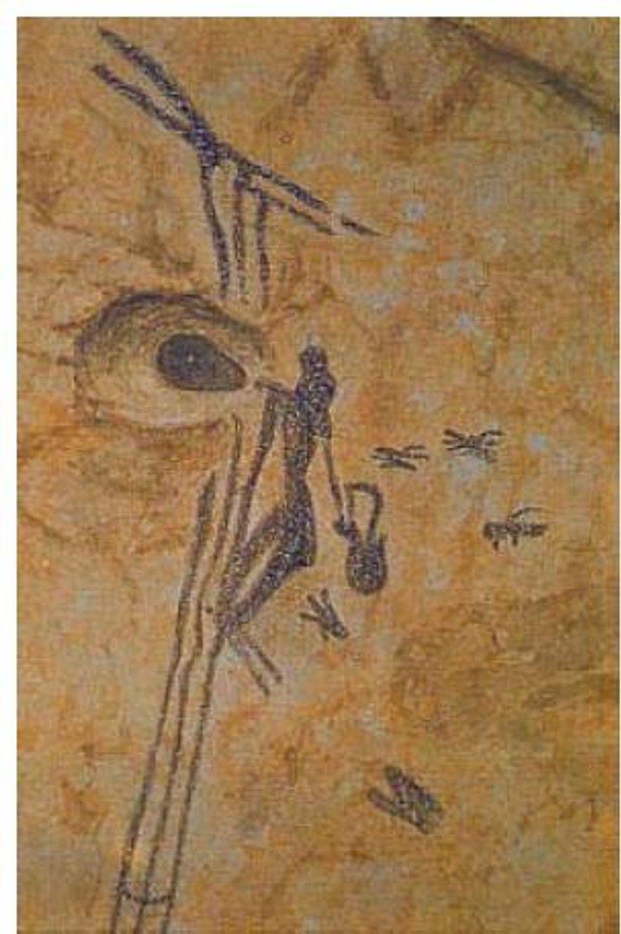 Pintura rupestre (Fuente: Pinterest)Una pintura rupestre realizada en la Cueva de la Araña (Valencia), muestra una figura femenina recolectando miel en un panal arbóreo