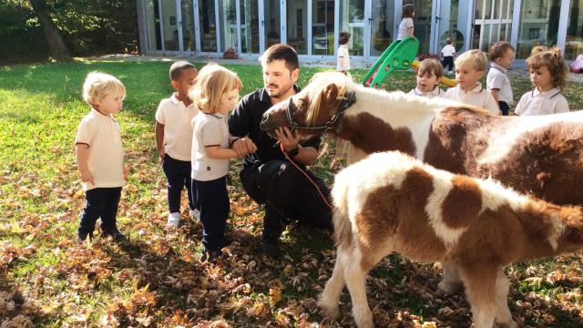 Colegio Vizcaya (Vizcaya)