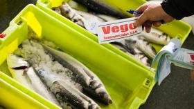 La gallega Vegalsa-Eroski invirtió casi 400 millones de euros en productos locales en 2020