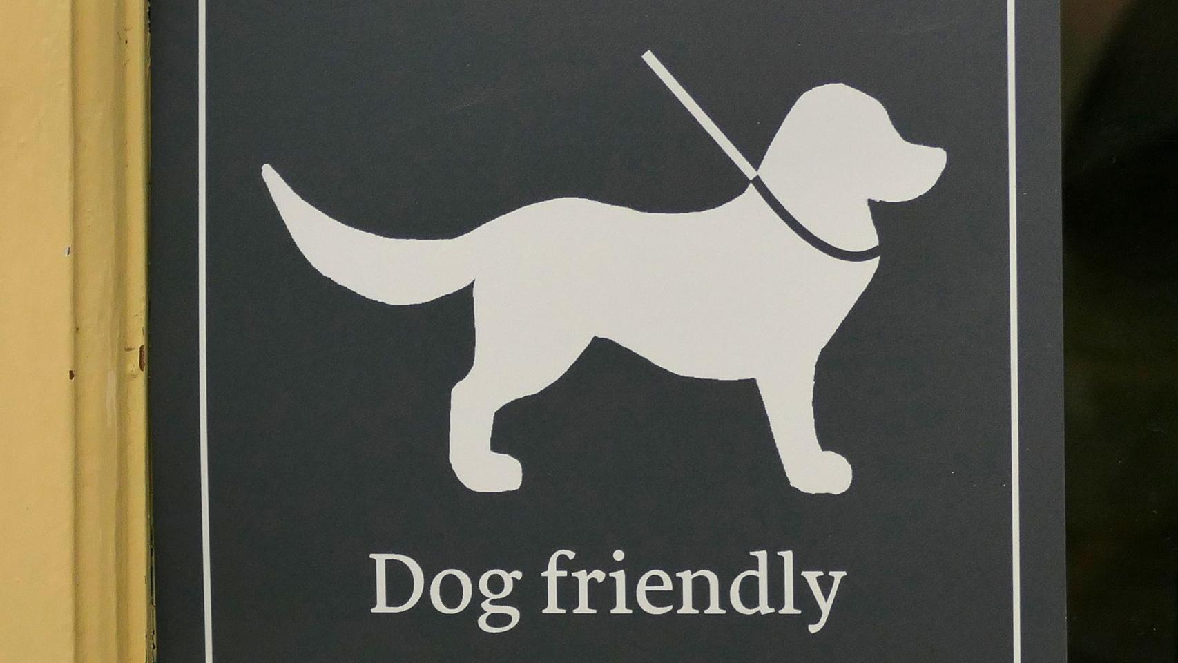 Aquí sí admiten perros: Locales pet friendly en Ferrol