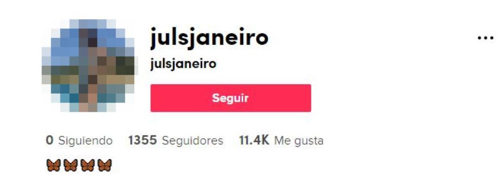 La biografía de TikTok de Julia Janeiro.