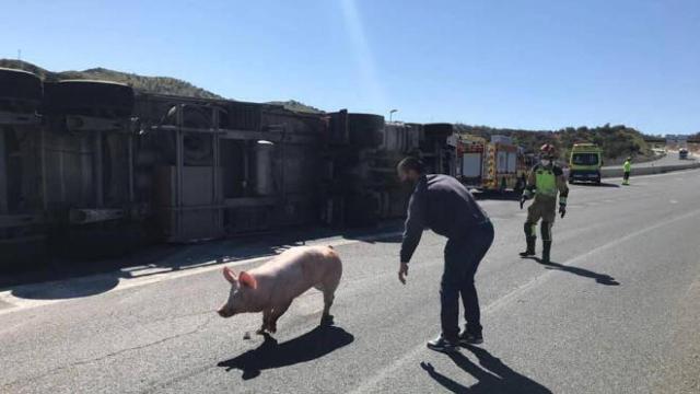 Fotos: Bomberos de Toledo