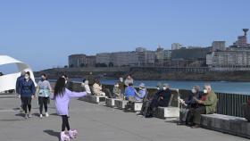 Primavera anticipada en el Paseo Marítimo de A Coruña.