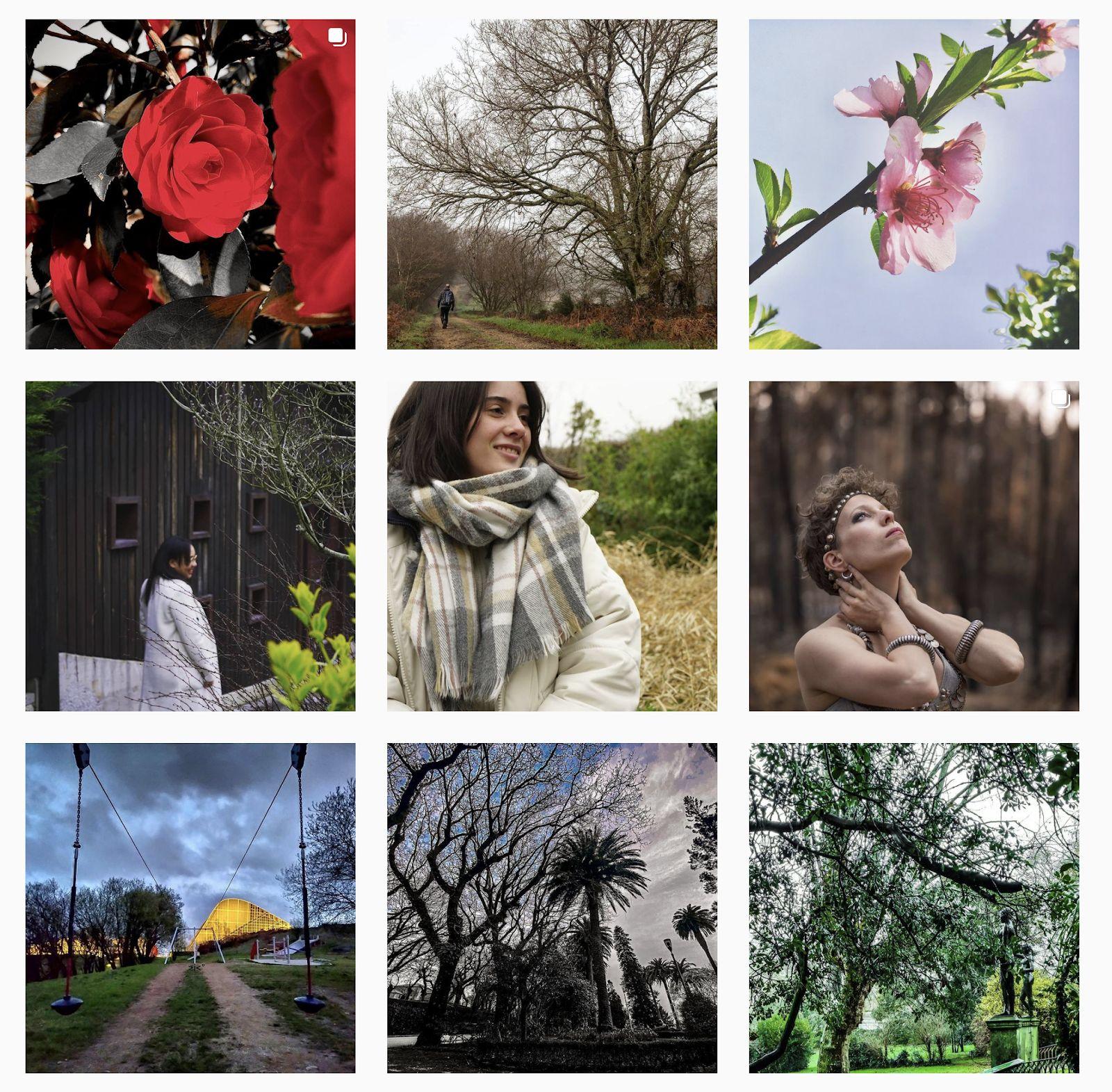 Algunas de las imágenes de usuarios con #1foto1árbore (Cedida).
