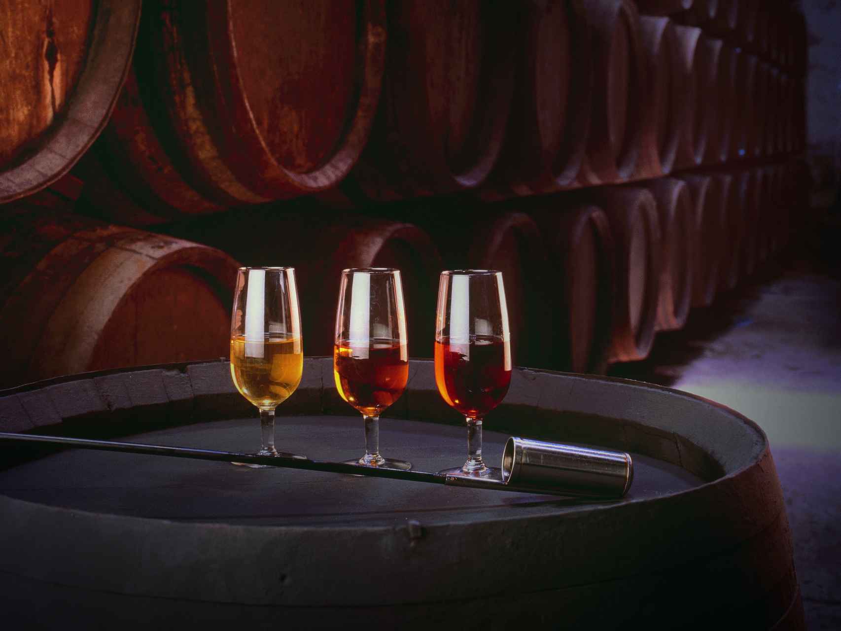 Cata de vinos en una de las bodegas centenarias de Jerez.
