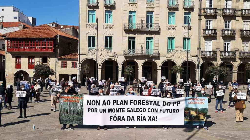 Protesta convocada por la plataforma Por un Monte Galego con Futuro en Pontevedra.