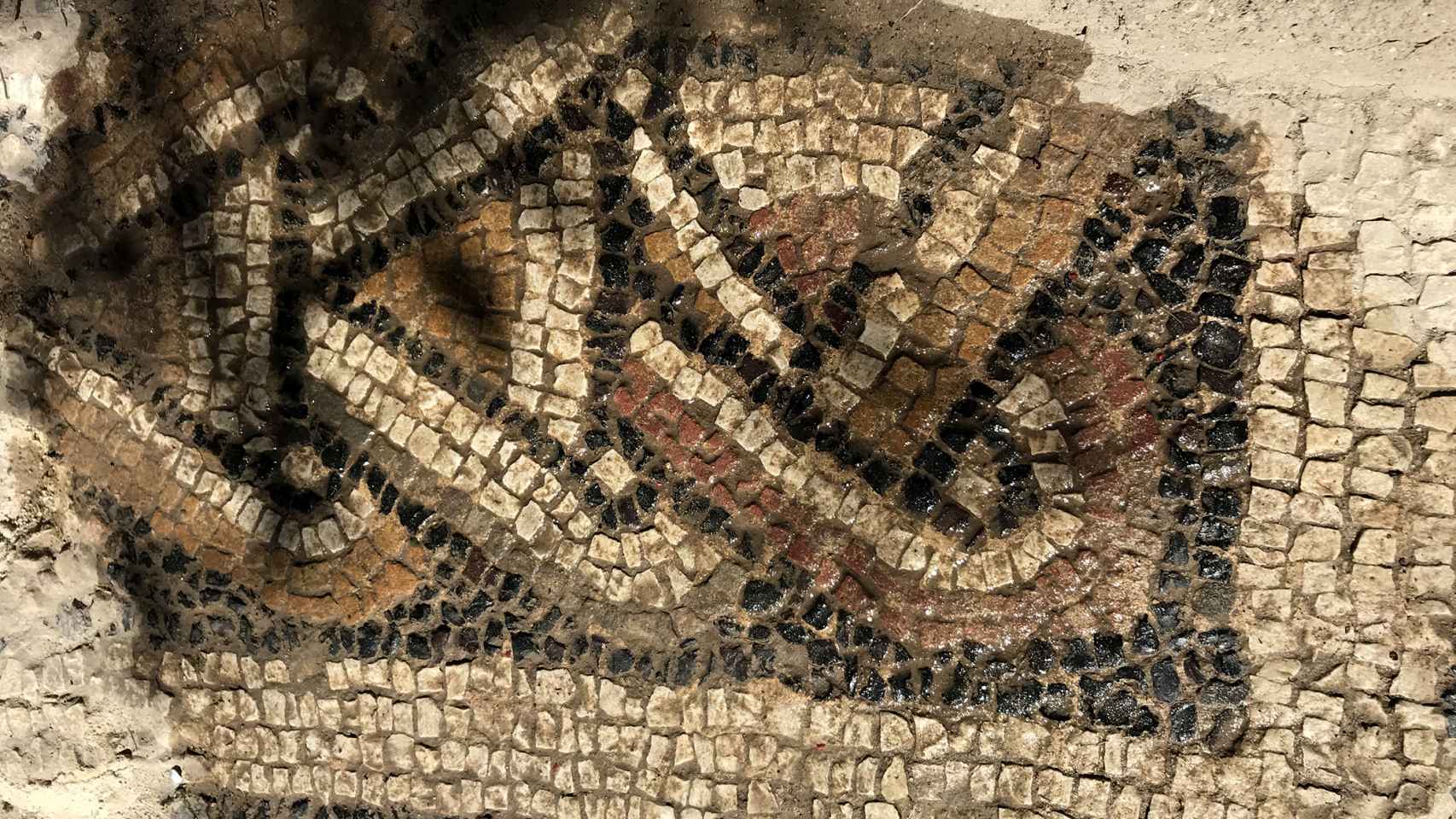 Detalle del mosaico encontrado en El Altillo.