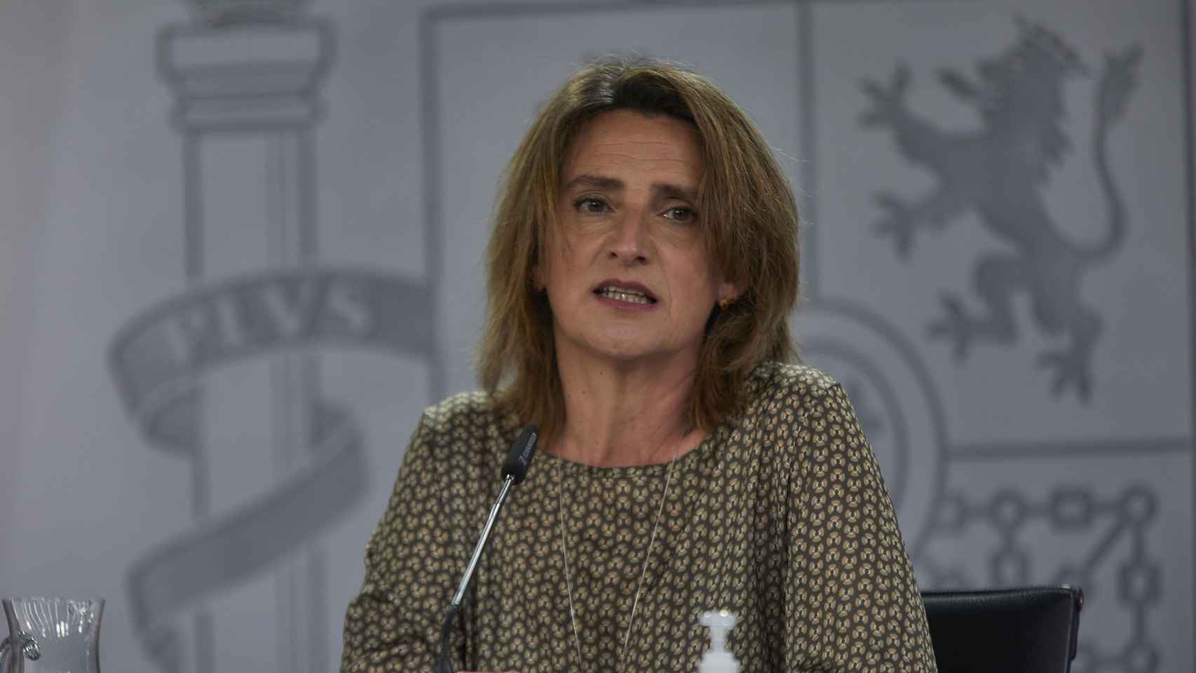 La ministra para la Transición Ecológica y Reto Demográfico, Teresa Ribera.