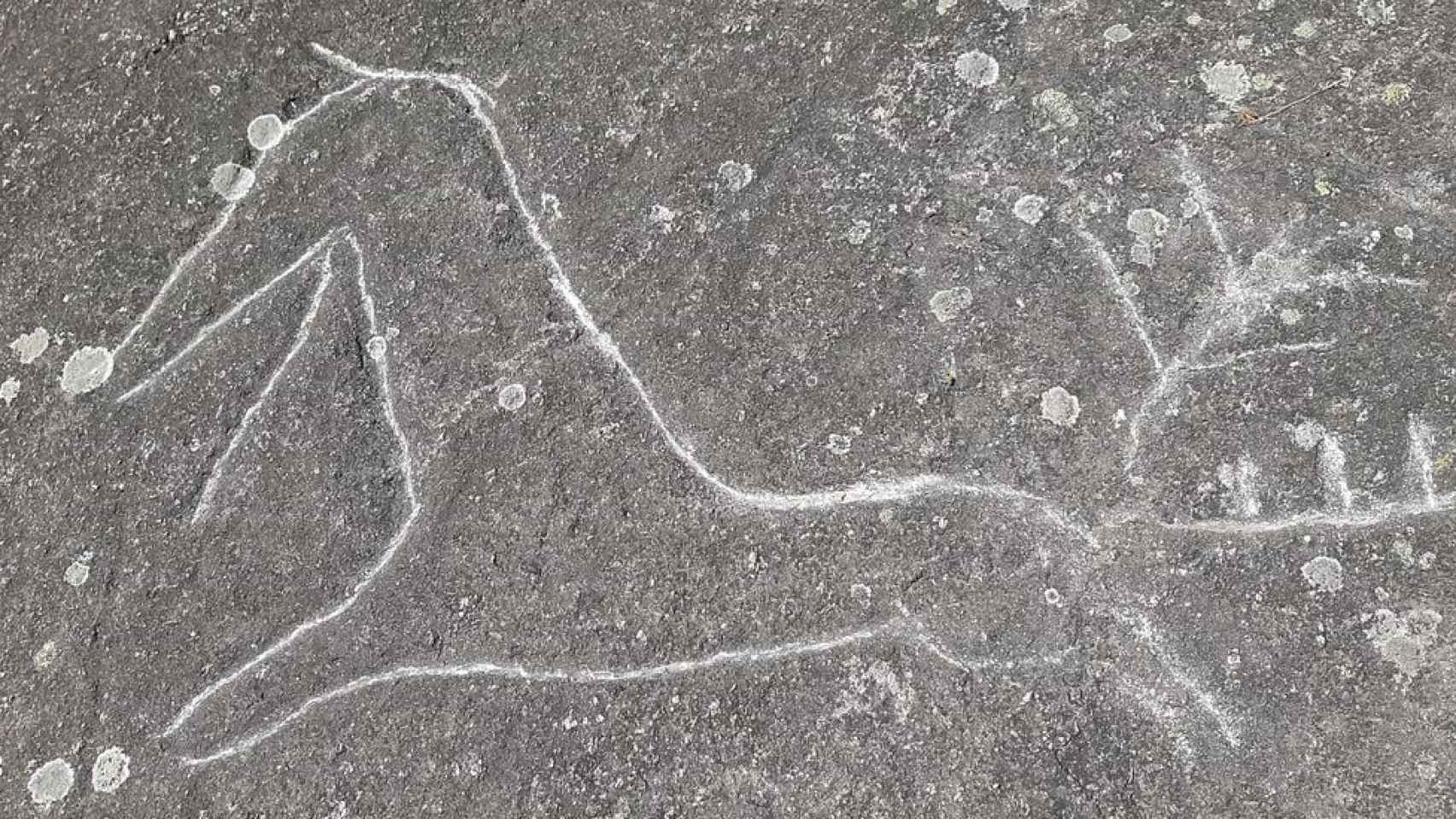 Los petroglifos de Campo Lameiro (Pontevedra) aparecen dañados por vándalos