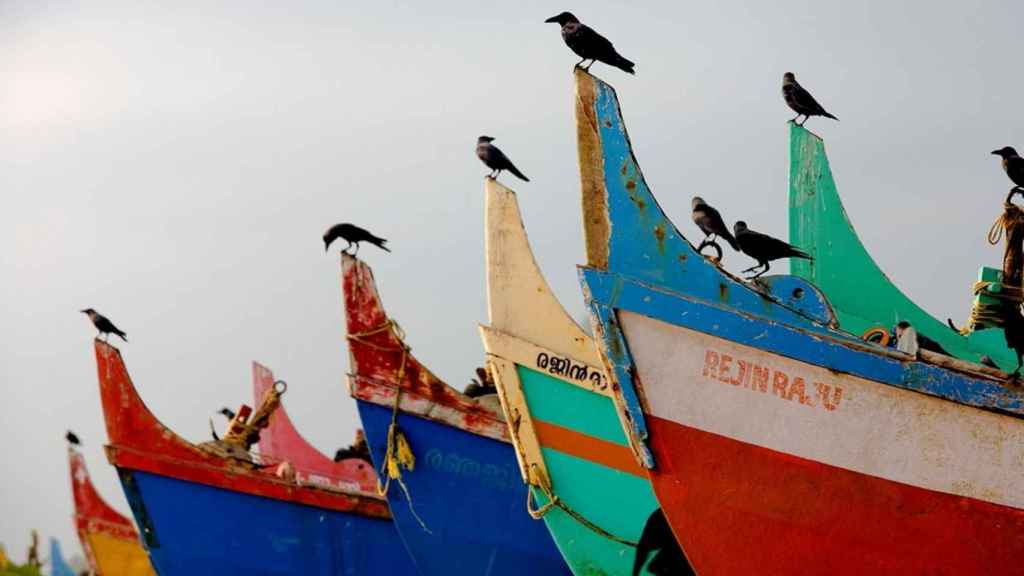 Fotografía de la exposición Fillos do océano (Foto de Javier Teniente)