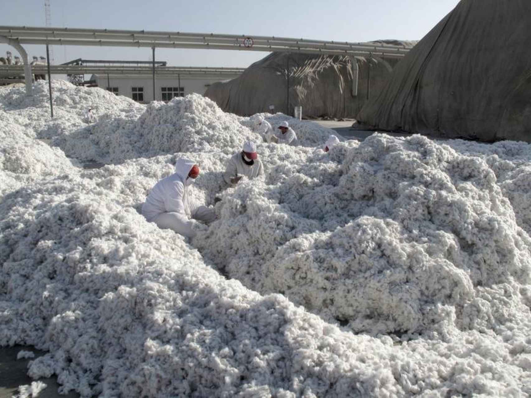 Planta de procesamiento de algodón en la ciudad de Aksu.