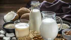 Aprende a conseguir tu propia leche vegetal en casa