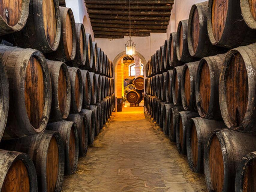 El microclima de las bodegas del Marco de Jerez es único.