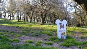 Zona habilitada para llevar a perros sueltos en la Alameda.