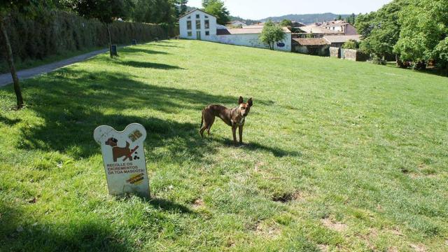 Compostela Aberta pide al Ayuntamiento de Santiago intensificar el control en Belvís