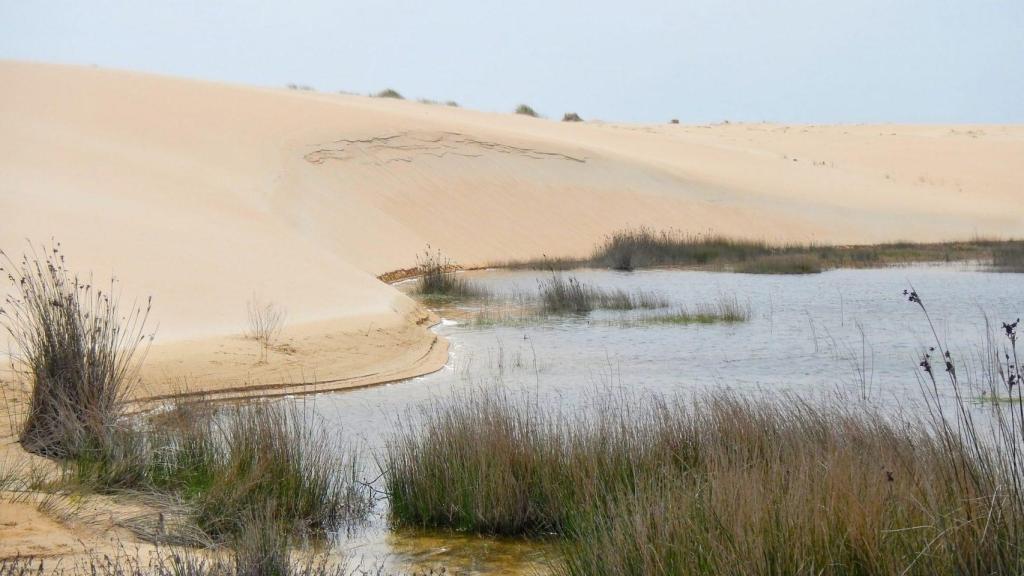 Parque Natural de Corrubedo, Ribeira. Foto: Turismo de Galicia