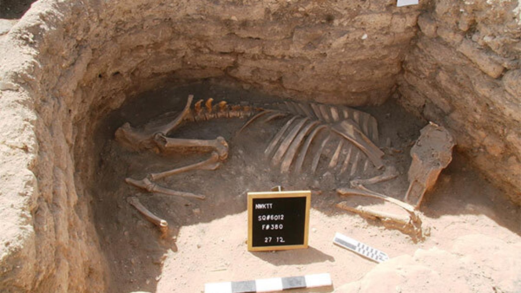 Restos descubiertos de una ciudad oculta en Egipto.