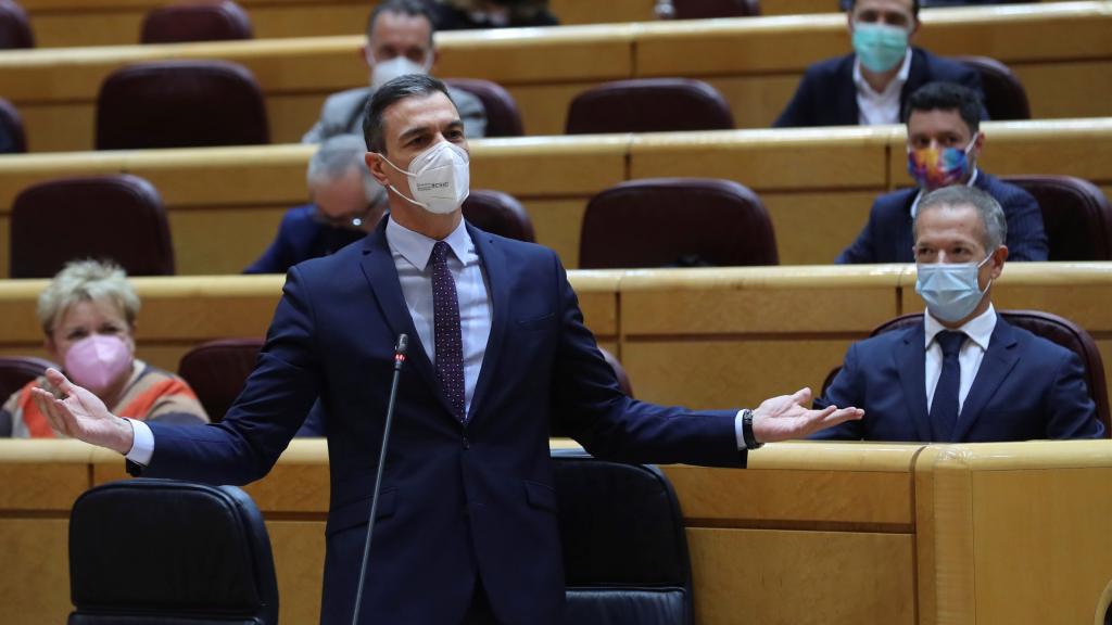 Pedro Sánchez, presidente del Gobierno, en la sesión de control del Senado.