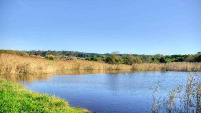 Laguna de A Bodeira: la única laguna litoral de la provincia de Pontevedra está en O Grove