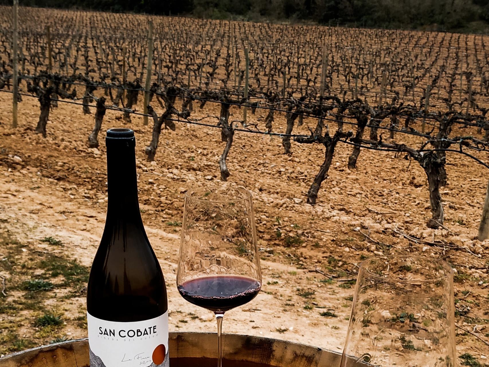 La situación del viñedo de San Cobate es única en la Ribera del Duero.