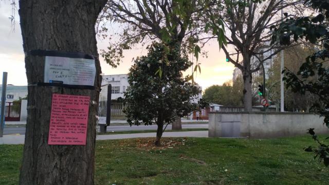 Carteles contra la tala en la plaza de la Tolerancia