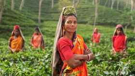 Una mujer en una plantación de té.