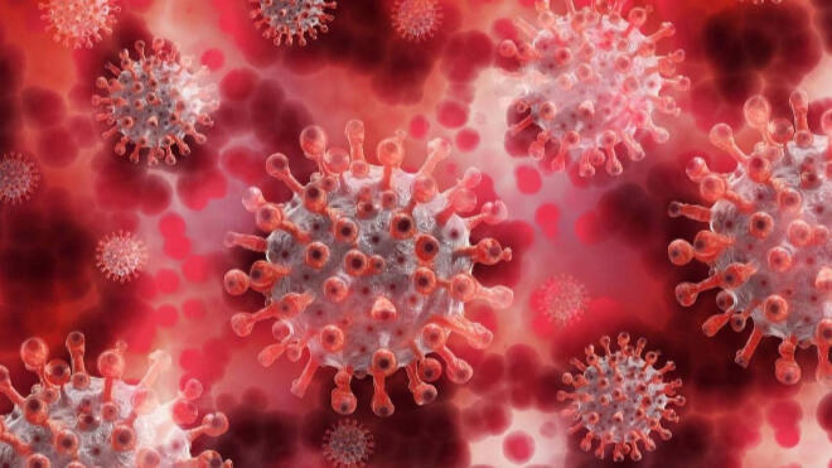 Coronavirus. Imagen de Europa Press