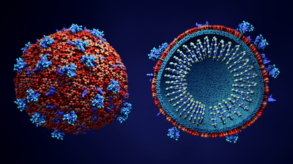 Estructura de un coronavirus
