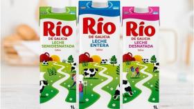 CEO de Leche Río: Sería beneficioso armar un gran grupo lácteo gallego