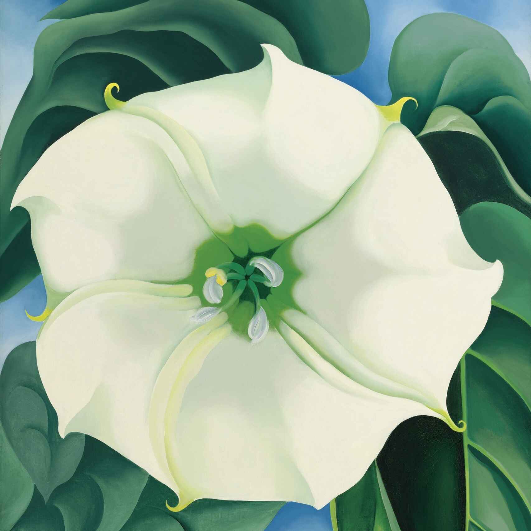 'Jimson Weed/Flor Blanca nº 1', pintada por Georgia O'Keeffe en 1932.