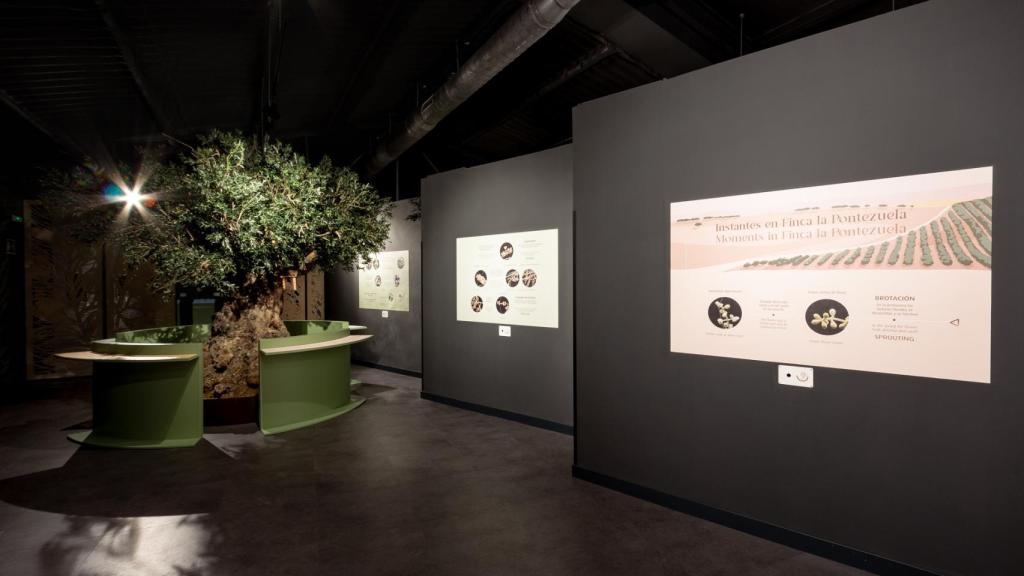 El interior del centro de interpretación del olivar perteneciente a Finca La Pontezuela.