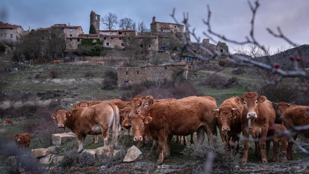 San Vicente de Munilla, La Rioja, España.