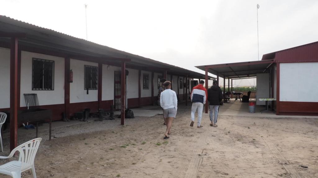 Este grupo de ocho jóvenes extutelados por la Administración conviven en barracones junto a una finca de fresas.