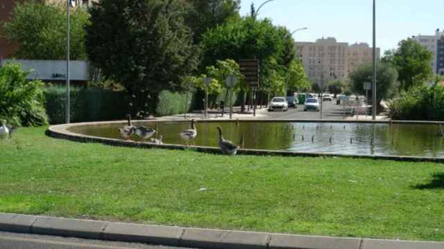 Una fotografía de la 'rotonda de los patos' publicada por la Asociación de Vecinos 'El Tajo'
