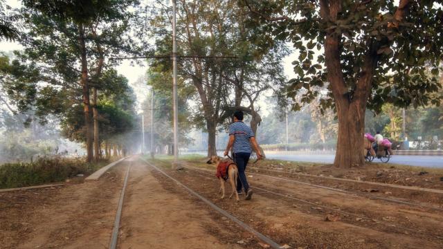 8 rutas de senderismo en Galicia para hacer con tu perro