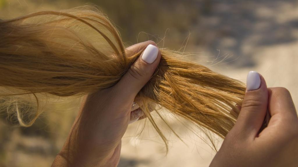 Protege y suaviza tu cabello con este acondicionador sin aclarado de Salerm Cosmetics