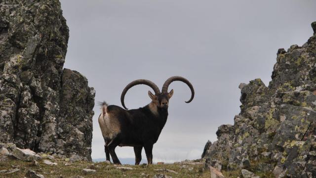 Castilla y León