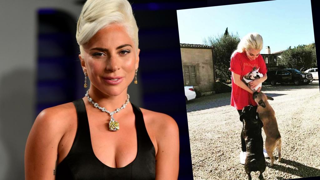 Lady Gaga sufrió mucho por la vida de su paseador de perros y sus canes la noche del 24 de febrero.