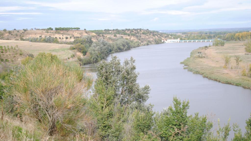 Castilla y León