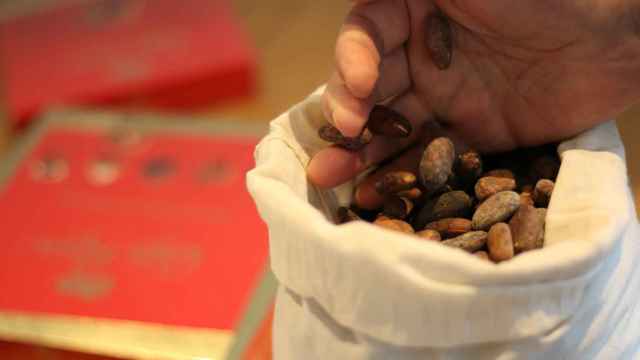 Nestlé utilizará cascarilla de cacao como biocombustible para generar energía verde