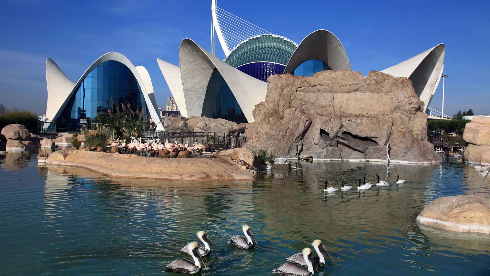 Los acuarios más espectaculares para visitar en España
