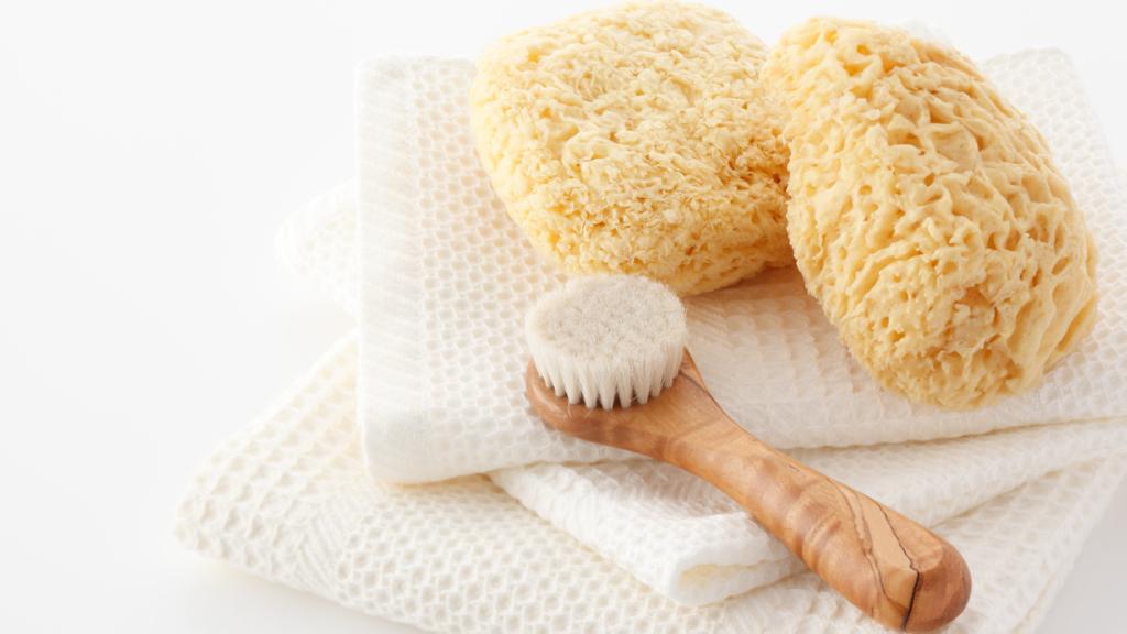 Esponjas vegetales y naturales para la ducha: descubre sus beneficios