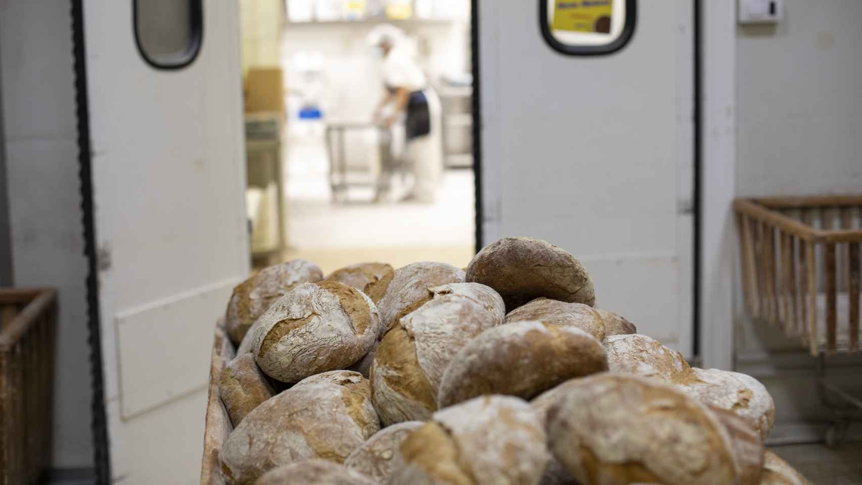 Los panes recién hechos en el obrador central de Forno de Lugo.