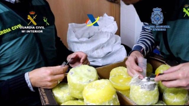 Desarticulada una organización criminal que introducía cocaína dentro de piñas preñadas