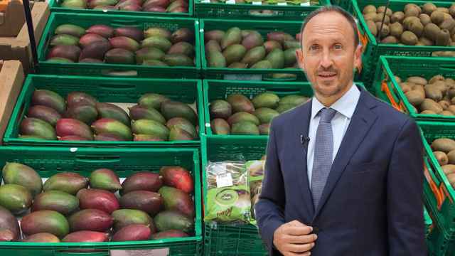 Enrique Colilles, gerente de Trops, una de las cooperativas que proveen a Mercadona de su mango.
