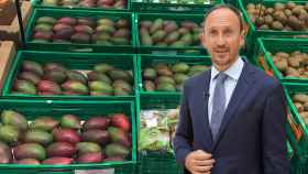 Enrique Colilles, gerente de Trops, una de las cooperativas que proveen a Mercadona de su mango.