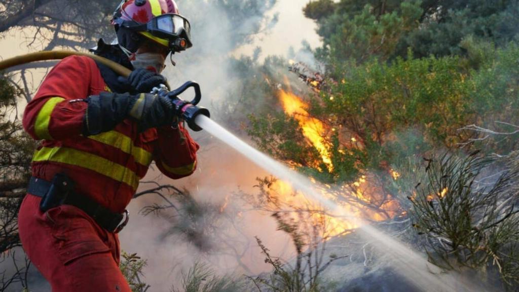 Bomberos forestal en pleno trabajo. Imagen de archivo