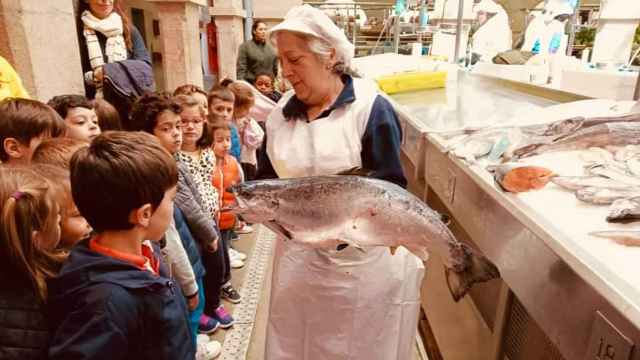 Visitas escolares al Mercado de Pontevedra.