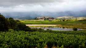 Laguardia, en la Rioja alavesa, es uno de los municipios encuadrados dentro de la D.O. FOTO: D.O. La Rioja.