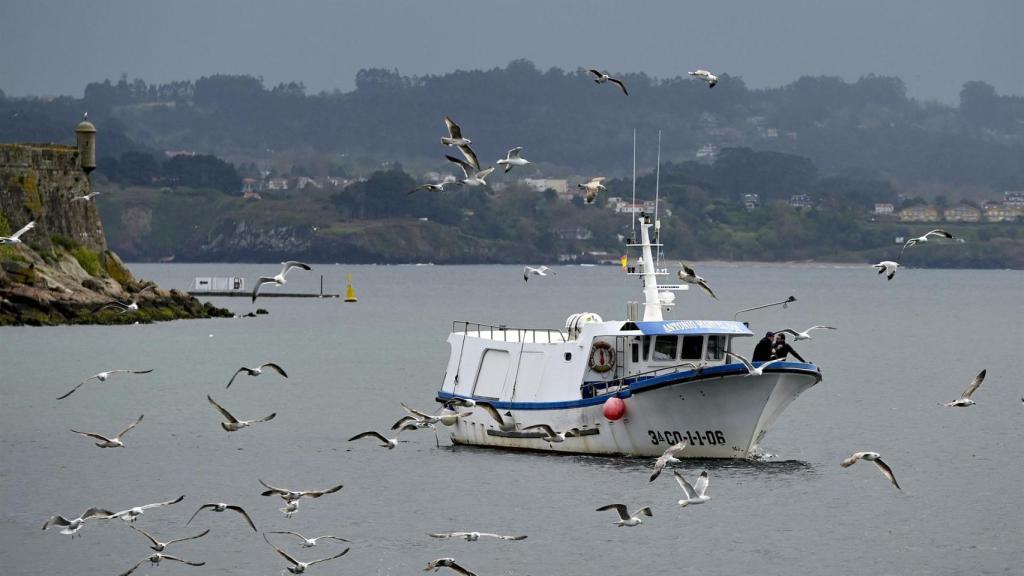 Un barco de flota artesanal en aguas gallegas.